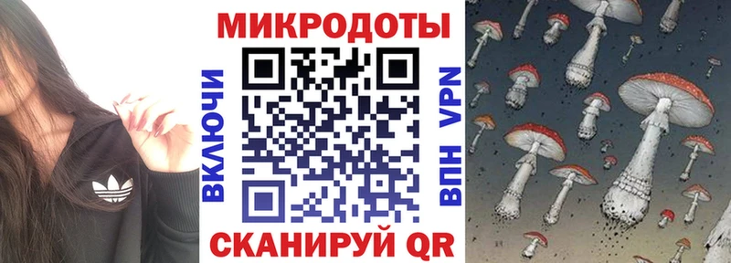 omg tor Новомосковск Галлюциногенные грибы Psilocybe закладки