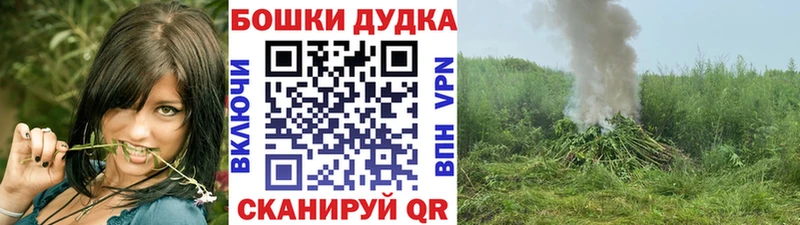 Бошки Шишки OG Kush  Новомосковск 